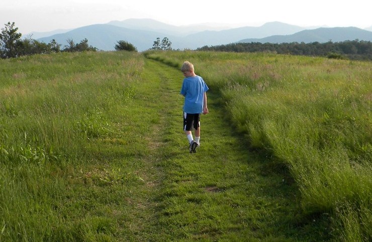 Cumberland Trail : trail atop high ridge
